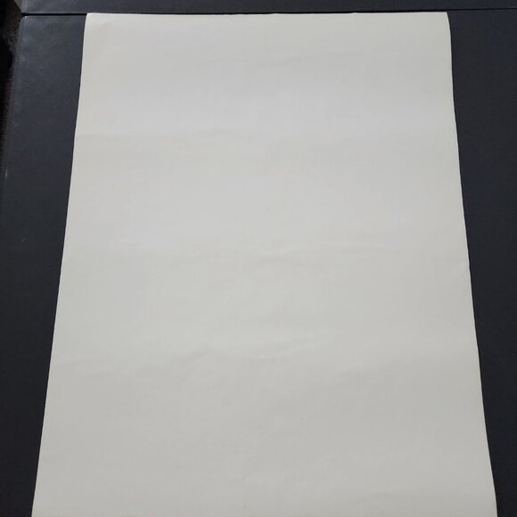 Vintage Braniff International Holland Travel Poster - Picture 6 of 7